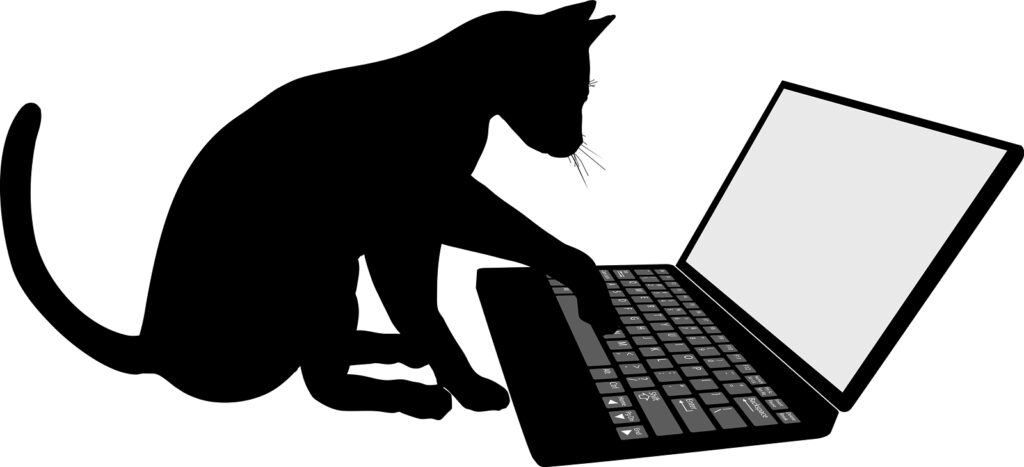 Cover Herding Cats through the Gates to Cyberspace